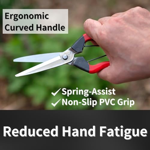 Harvesting Scissors Blunt Tips 7.9" for Vegetable, Fruits, Plants - Japanese Garden Shears Pruning Snips - Sharp Japanese Stainless Steel Blade & Non-Slip Spring-Loaded Handle - Made in Japan - style: Harvesting