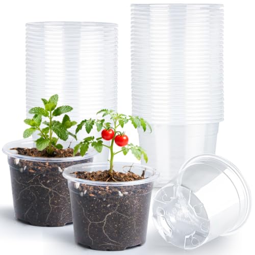 RooTrimmer 100 Pack 2.8 Inches Clear Plant Pots with Drainage Holes, Transparent Seeding Nursey pots, Round Plastic pots for Seeds Starter, Seeds Germination - size: 2.8 Inch 100P