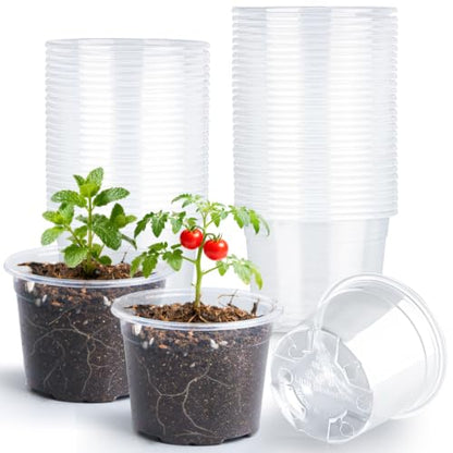 RooTrimmer 100 Pack 2.8 Inches Clear Plant Pots with Drainage Holes, Transparent Seeding Nursey pots, Round Plastic pots for Seeds Starter, Seeds Germination - size: 2.8 Inch 100P