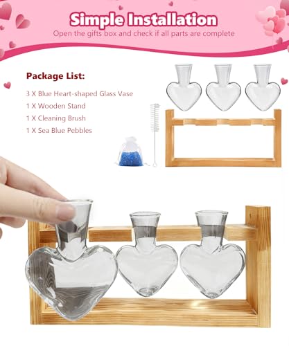 Nacome Plant Terrarium with Wooden Stand, 3 Heart Bulb Glass Vases - color: Light Gray