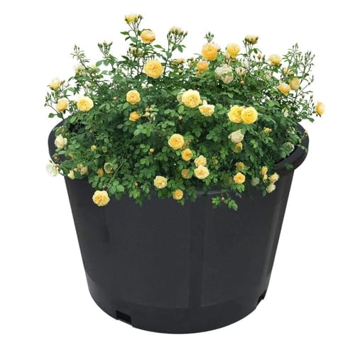 Plant Nursery Pot 10-Pack 5 Gallon Short Plastic Garden Planter Pots Flower Seedling Injection Molded Container Seed Starting Pot Set for Indoor Outdoor Plants Seedlings Vegetables Black - size: Short 5 Gallon
