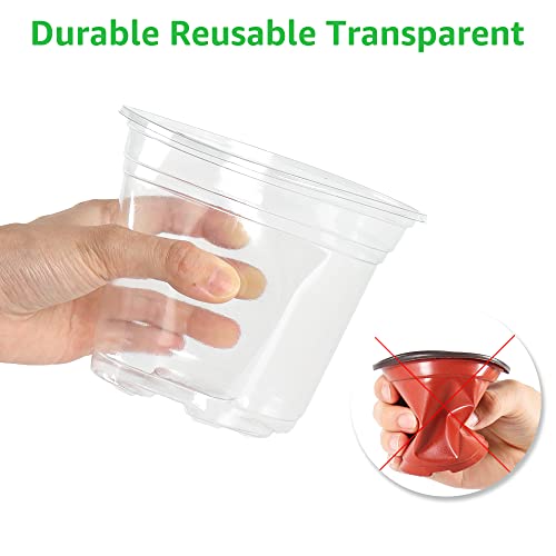 Bonviee Clear Nursery Pots with Humidity Domes, 3.5/4/5 Inch, 36-Pack - size: 3.5/4/5 Inch-36 Packs