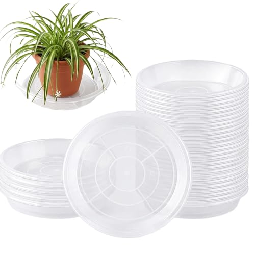 30 Pack Clear Plant Saucer 8 Inches Plastic Drip Trays to Catch Water - size: 8 Inch