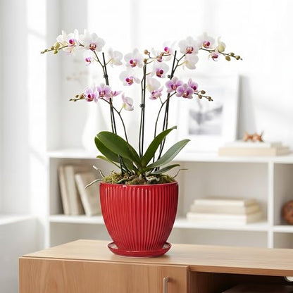 Ceramic Flower Pots 8 Inch, Ceramic Planters with Saucer, Red - color: Red, size: 8 Inch