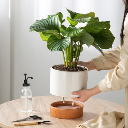 8 Inch Ceramic Self Watering Planter with Drainage Hole, Grey - color: Gray, size: Medium
