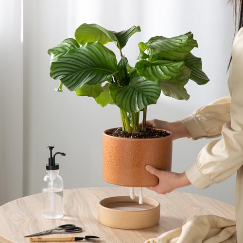 8 Inch Ceramic Self Watering Planter with Drainage Hole Terracotta - color: Terracotta, size: Medium