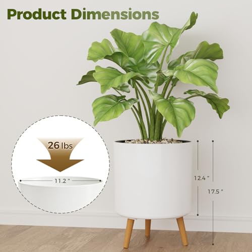 Bamworld Self Watering Pots for Indoor Plants with Water Level Indicator - size: 12 in
