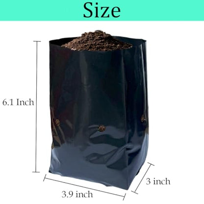 gardtree 1/4 Gallon 100 Pcs Thicken Seedling Nursery Bags, 3.9" x 6.1" Deep Plastic Grow Bags with Drainage Holes, Heavy Duty Plant Starter Pots for Vegetables, Flowers, Succulents and Cuttings - size: 3.9"x6.1"/100PCS