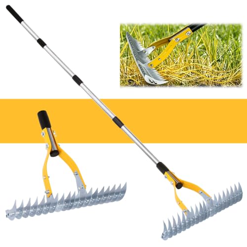 Thatch Rake, Dethatcher Rake for Grass to Cleaning Dead Grass