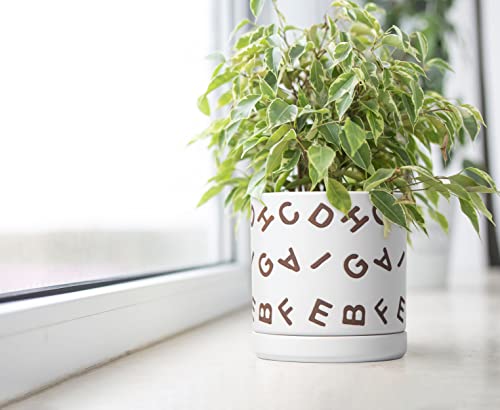 D'vine Dev Set of 2 Ceramic Planter Pots with Drainage Hole and Saucer, 6 Inch Plant Pots for Plants Indoor Houseplants, White, 99-Z-G-1-Y - size: 6", style: Letters White