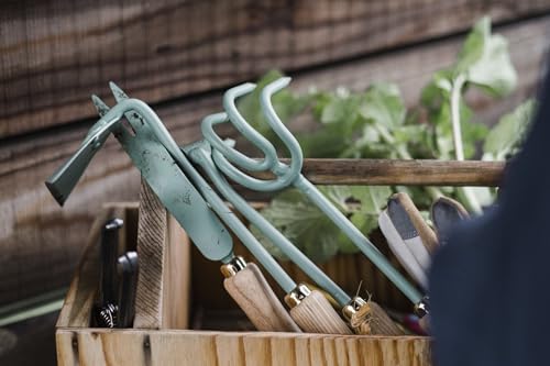 Barebones Triangle Hoe - Stainless Steel Blade Japanese Gardening Tools for Weeding Long Handle and Hand Hoe (Ash/Mint) - color: Ash/Mint, size: Triangle Hoe