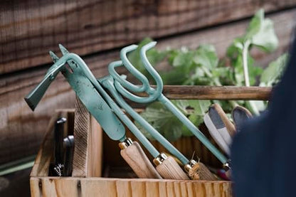Barebones Triangle Hoe - Stainless Steel Blade Japanese Gardening Tools for Weeding Long Handle and Hand Hoe (Ash/Mint) - color: Ash/Mint, size: Triangle Hoe