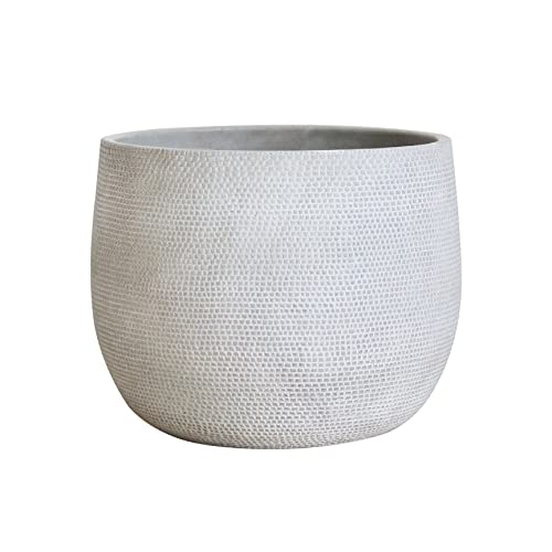 Olly & Rose Barcelona Ceramic Plant Pot Large 25cm 10 Inch - Light Grey Off White Flower Pots - Indoor & Outdoor Planters - color: Light Grey