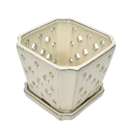 W&W Orchid Pot with Holes and Saucer for Repotting and Better Grow, Cream White, 7" - color: Cream White