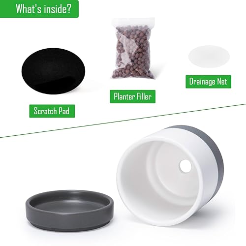 D'vine Dev 2-Pack Ceramic Pots with Saucers, White/Grey, 4.7 in, 94-V-B-6 - color: White/Speckled Grey, size: 4.7 Inch