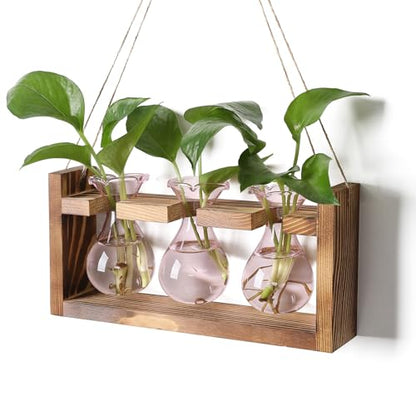 Plant Propagation Station Plant Terrarium Unique Birthday Gifts for Women - color: Pink