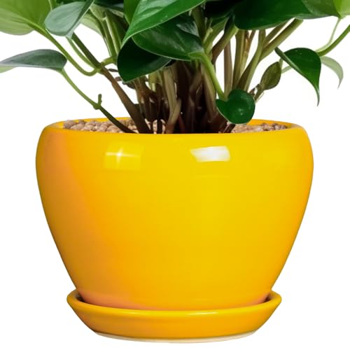 Ceramicfor Ceramic Pot for Plants - 6 Inch Plant Pot Glaze Modern Decorative Round Planter with Drainage Hole and Saucer for Home Patio Room Office House Decor, Yellow - color: Bright Yellow, size: 6 Inch