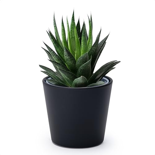 Phoenix Vine 4.5 Inch Black Plastic Cachepot with Clear Nursery Pot, Decorative Lightweight Planter Cover with Transparent Inner Pot for Indoor Houseplants, Pack of 1, 24-B-E-1 - color: Matte Black, size: 4.5" (1 Pack)
