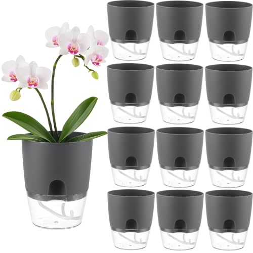 Planterhoma 12 Pack Self Watering Pots for Indoor Plants, 6 Inch Plant Pot Plastic Self Watering Planter for Orchid, African Violet, Small Clear Flower Pots with Drainage Holes and Wicking Rope, Gray - color: Gray, size: 6 In - 12 Packs
