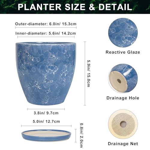 6 Inch Ceramic Plant Pot - Ceramic Planters Indoor, Blue - color: Sky Blue, size: 6 Inch