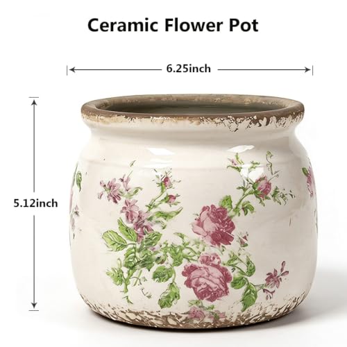 Handcrafted Vintage Crackle Glaze Ceramic Flower Pot 6.25 Inch with Drainage, French Country Indoor Planter Dual-Use Decor Vase for Small Houseplants, Antique Garden Home Decor Housewarming Gift （Rose - color: Red, size: 6.25in