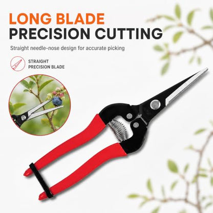 ARS HP-300L Needle Nose Fruit Pruners