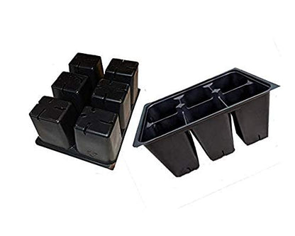 300 DEEP Extra Large Cells Seed Starter (50 Trays of 6 Cells Each)