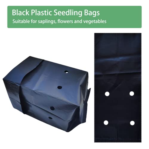 Belit Nursery Growing Bags, 100 Pcs Black Plastic Seedling Pots for Gardening Seed Plant Bags, Fruit Tree Seedling, Starting saplings(7"x8.7") - size: 7.0"x8.7"