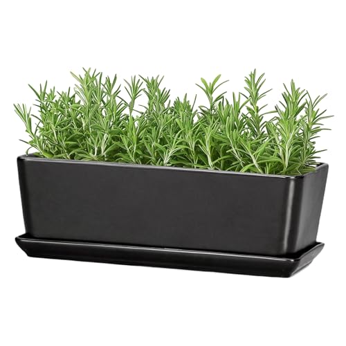 SQOWL Rectangle Planter - 10 Inch Ceramic Plant Pots with Drainage Hole and Saucer, Rectangular Succulent Planters for Indoor Plants, Flower Cactus Herb Pots Outdoor, Room Decor, Garden Gifts, Black