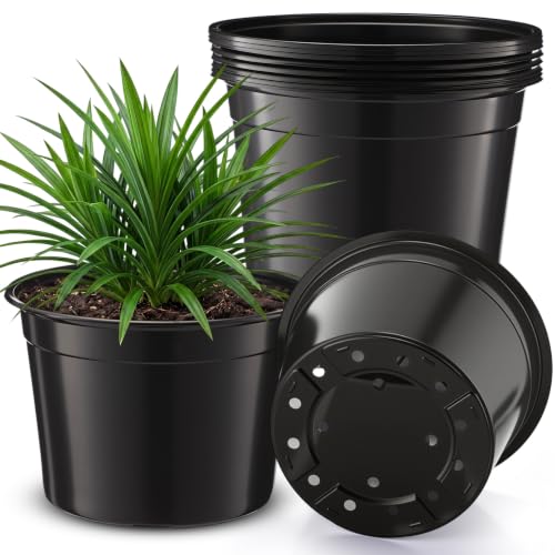 10 Pack 12 Inch Large Black Nursery Pots with Drainage Holes Plastic Seedling Nursery Pots Plant Containers for Vegetables, Flower, Greenery, Orchids, Aloe, Indoor Outdoor Use