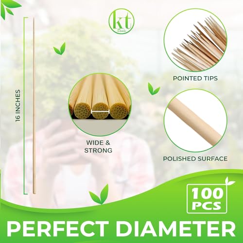 100 Pack 16" Bamboo Plant Stakes for Indoor Plants, Long Wood Skewers Sticks for Plant Support Tomato Floral Flower Bouquet, Garden Wooden Sticks Sign Posting and Other Crafts (100pc - 16 inch)