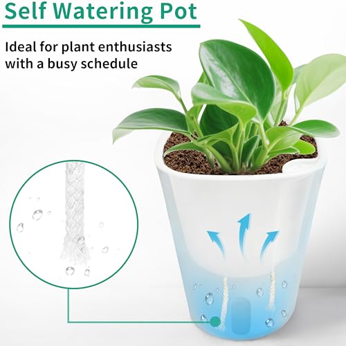 TCBWFY 5 Inch Self Watering Pots for Indoor Plants,5 Sets Self Watering Planter Pots with Visual Water Level Window and Multiple Vents,Self Watering Plant Pot for All House Plants,Flowers,Herbs - size: 5 Inch - 5 Sets