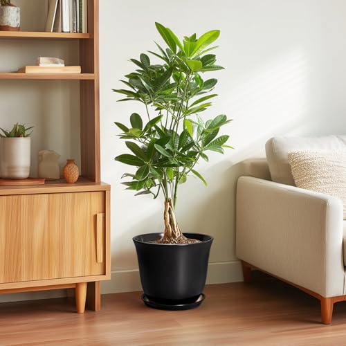 Ceramic Pots for Plants, 10 Inch Plant Pot with Drainage, Black - color: Black, size: 10 Inch
