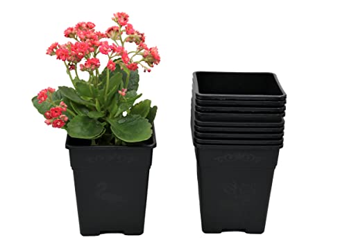 Wholesale 5 Inch Square Nursery Pot 30-Pack 0.5 Gallon Plastic Planters Pot Liners for Outdoor Indoor Plants with Drainage Holes - color: Black, size: 30-Pack 0.5 Gal Square