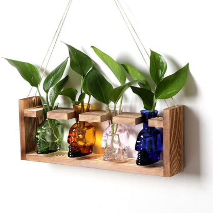 Plant Propagation Stations Halloween Skull Plant Terrarium Kit - color: Color02