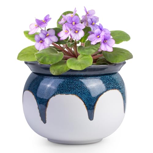 BUYMAX African Violet Pots, 6 inch Ceramic Easy Self Watering Plant Pot for Busy Plant Lovers, Automatically Absorb Appropriate Amount of Water, Flower Pot Indoor-Plants Not Included(Blue) - color: White-blue