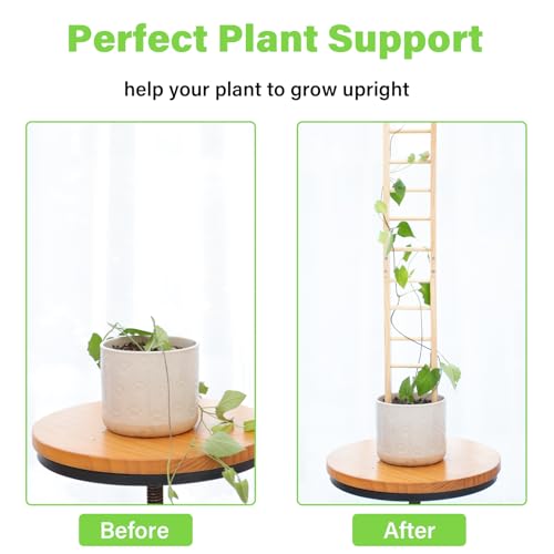 1Pcs Indoor Plant Trellis – Durable Wooden Support for Climbing Plants - size: 25" H