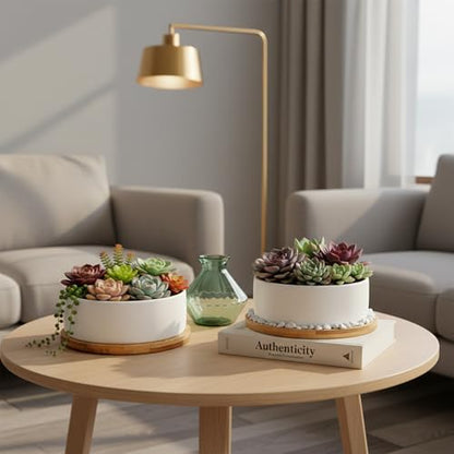 White Ceramic Succulent Plant Pots, Set of 2 Round Planter Small Cactus Container, Bonsai Pots, Succulent Pots with Drainage Hole& Bamboo Tray (No Plant) - color: Round*2