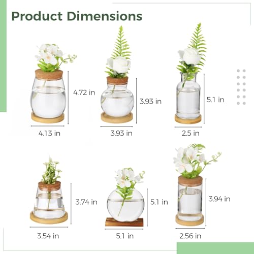 6PCS Plant Propagation Station, Desktop Plant Propagation Jars with Wood Lid and Stand, Glass Propagation Vases for Plant Growing, Hydroponic Home, Office Decor (6 Styles)