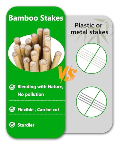 Natural Bamboo Plant Stake（7FT 15Pcs 3/4"） Sturdy Bamboo Poles, Durable Plant Bamboo Stake, Garden Climbing Plant Bracket. - size: 7ft-15PCS