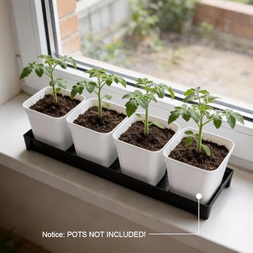 10 Pack Plastic Windowsill Plant Pot Trays (16"x5.5"x1.5"), Rectangular Window Sill Saucer with Removable Drainage Hole, Thick Plant Saucer Tray for 4 inch (10CM) Flower Seedling Pots (Black) - size: Trays (16"x5.5"x1.5") for 4 Inch Pots-10 Pack