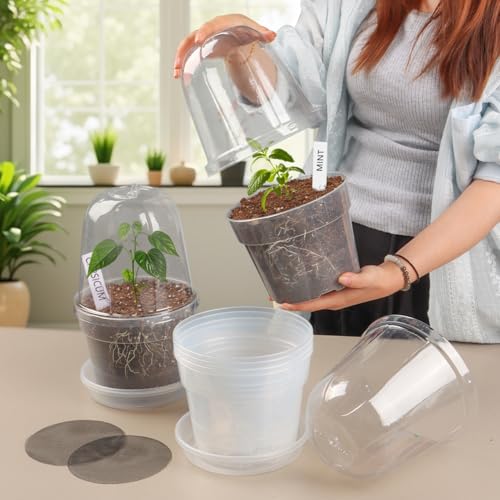 BTPLASTIK 6 Inch Clear Nursery Pots with Humidity Domes 15 Pack, Transparent Plastic Plant Pot with Drainage Holes and Saucers, Seed Starter Pots with 15 Pcs Plant Labels and 15 Pcs Soil Screens - size: 6 Inch-15P-with Humidity Domes