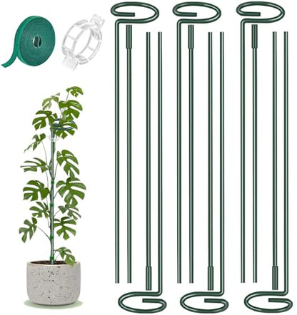 6 Pack 24 in Extendable Plant Support Stakes for Outdoor Plants and Flowers