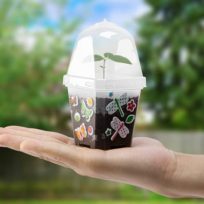 EBaokuup 10 Pack 3 Inch Clear Plant Nursery Pots with Humidity Domes - color: 10pcs-color, size: 3 Inch