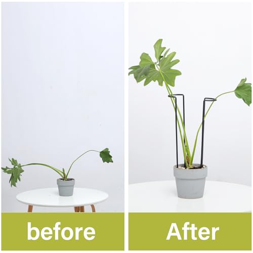 10Pcs Monstera Plant Support - 12" Durable Iron U-Shaped Trellis Stakes - color: Black, size: 12 Inch H