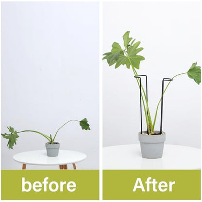 10Pcs Monstera Plant Support - 12" Durable Iron U-Shaped Trellis Stakes - color: Black, size: 12 Inch H