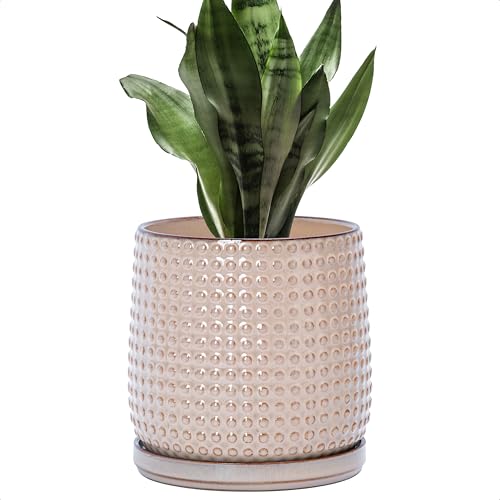 D'vine Dev Beaded Ceramic Pot with Saucer, 6 in, Light Brown, 27-C-X-4 - color: Light Brown, size: 5.8 Inch