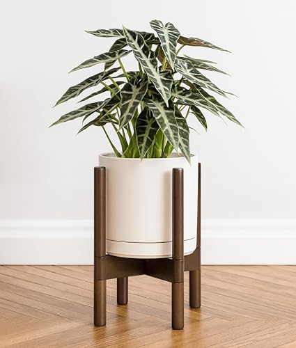 D'vine Dev Ceramic Pot with Walnut Wood Stand, Oatmeal, 8 in, 55-B-Y-8 - color: Oatmeal Pot + Walnut Color Stand, size: 8 Inch