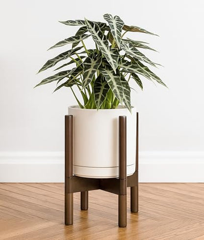 D'vine Dev Ceramic Pot with Walnut Wood Stand, Oatmeal, 8 in, 55-B-Y-8 - color: Oatmeal Pot + Walnut Color Stand, size: 8 Inch
