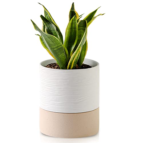 Nihow Ceramic Self Watering Plant Pot for Indoor Plants,6 Inch,White - color: White & Brown, size: 6" Self Watering